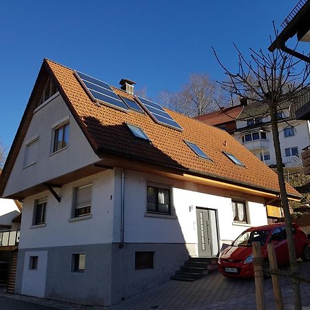 Ferienwohnung Bohnert-Arias Bad Peterstal-Griesbach Ngoại thất bức ảnh